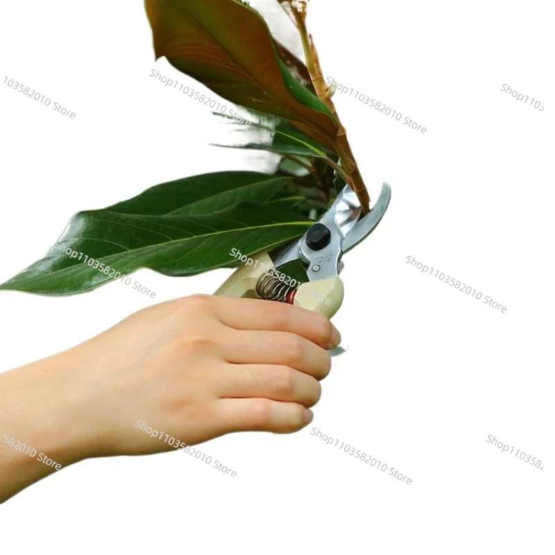 

Garden Pruning Shears with Ergonomic Handle, Sharp Bypass Hand Scissors for Tree Trimming & Plants