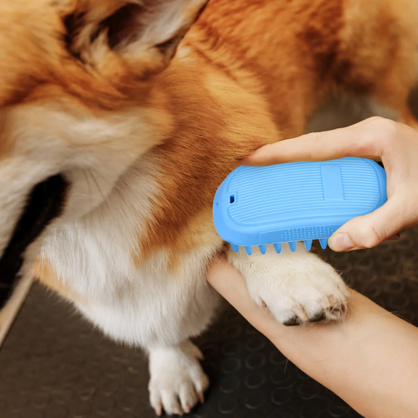 

Dog Bath Brush Soft Silicone Tpe Gentle Non Slip Grip Durable Scrubber for Dog Cat Bathing Hair Removal Cat Brush