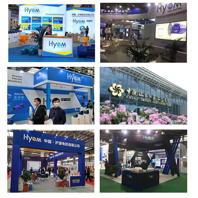 محرك كهربائي عالي الكفاءة 300 كيلو وات