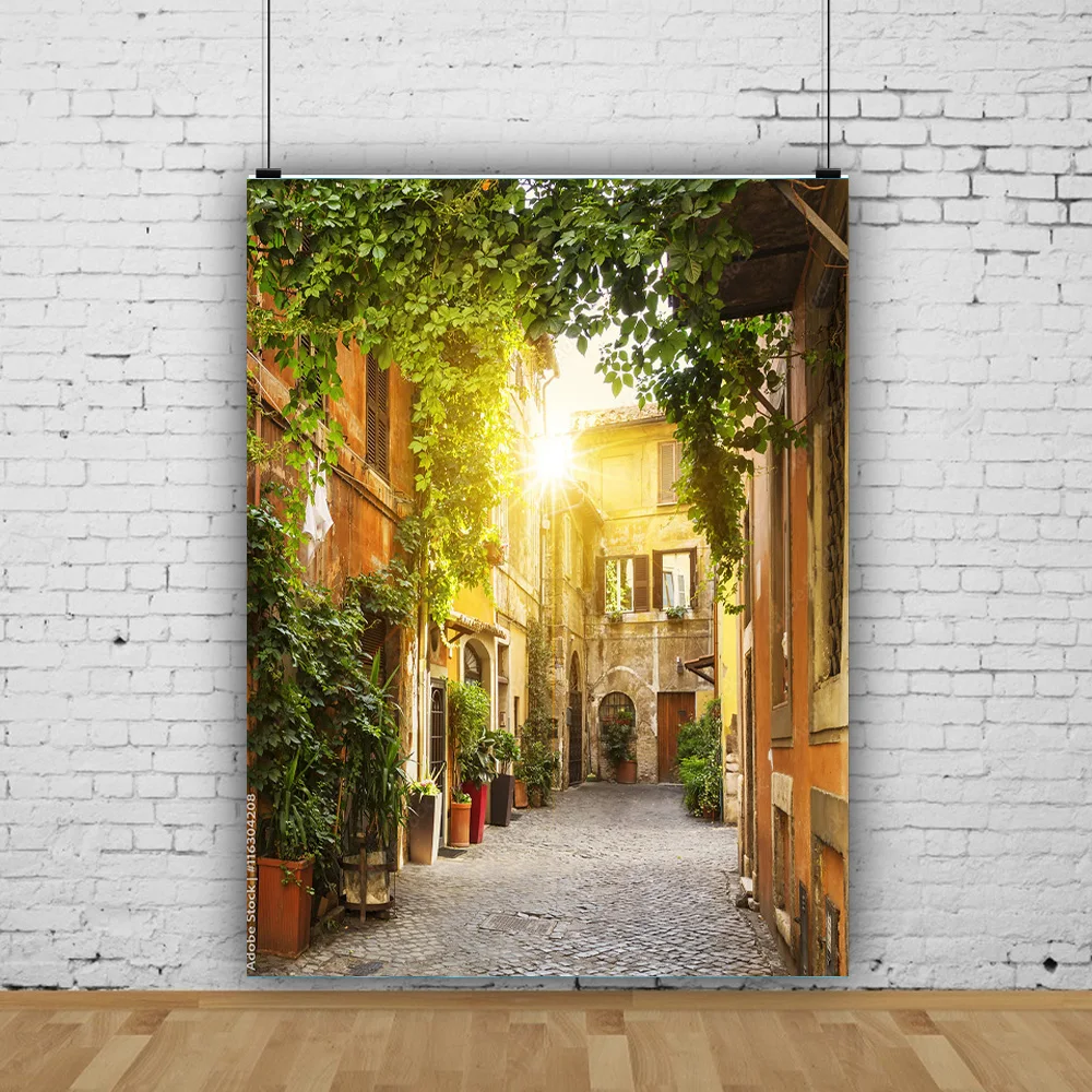 Old Town Street View Scenery Photography Backdrops Props Travel  Portrait Photo Backgrounds Studio ST-01