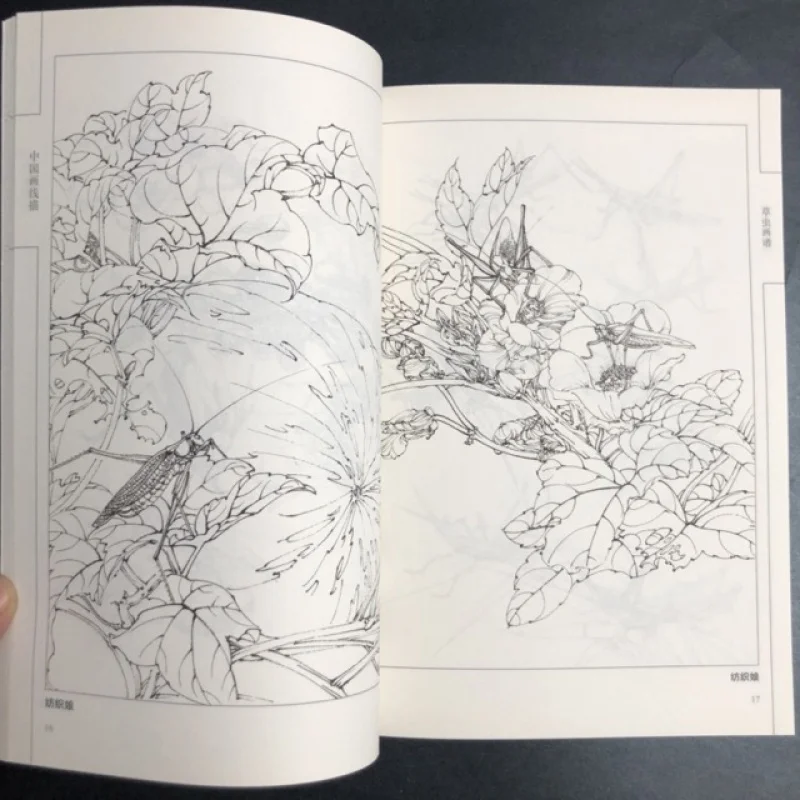 Coloring Book for Adults and Teens Featuring  with Easy and Simple Designs for Relaxation Chinese painting sketch