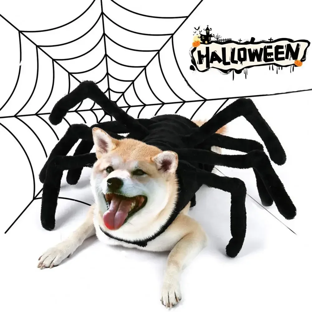 Ropa de Halloween para mascotas, ropa divertida con espalda de pecho de araña, gato, Perro pequeño, ropa transformada, Disfraz de Halloween, alas de murciélago