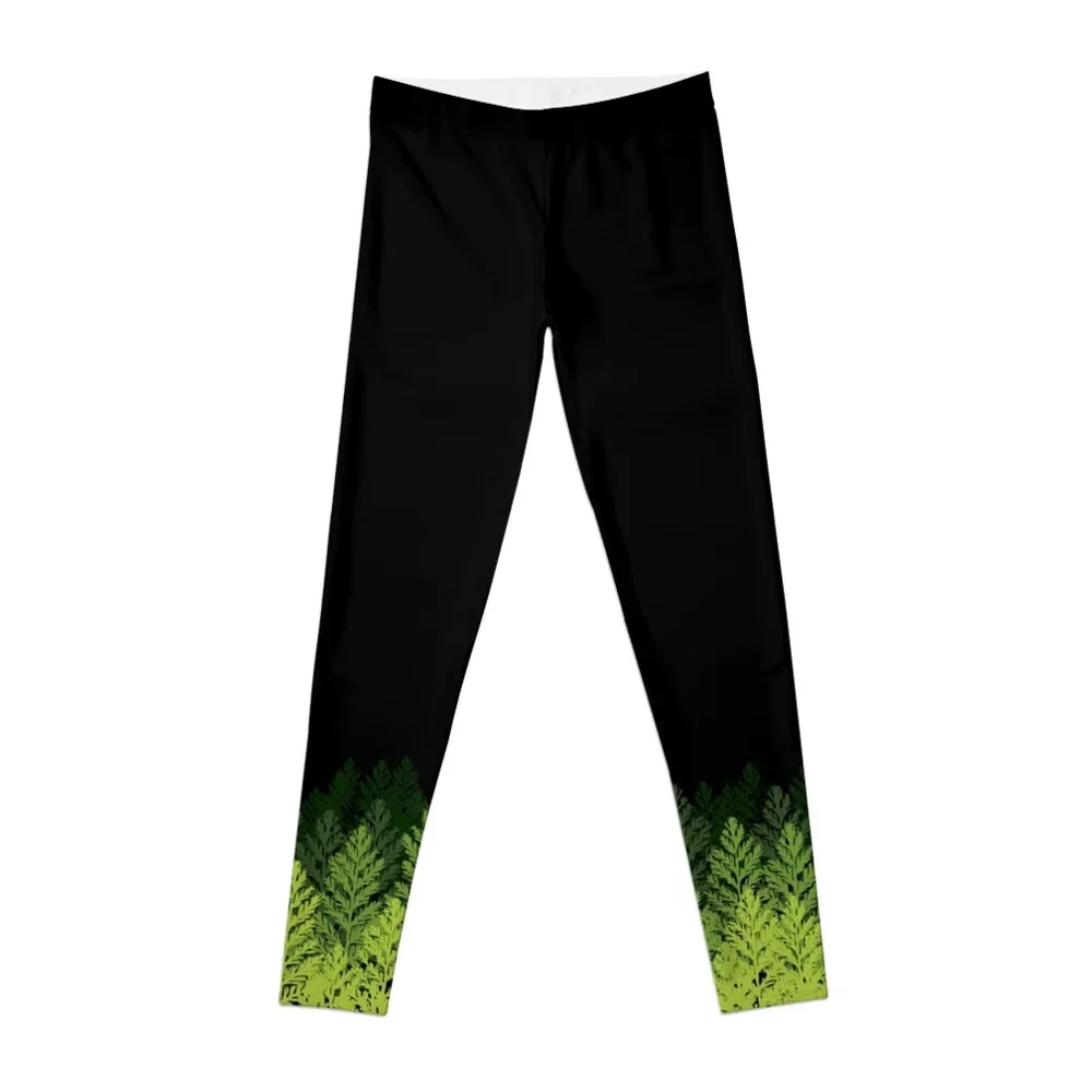 

Fern field: Antarctic Permian fossils Leggings sport legging Women sportwear sports woman gym legging gym Womens Leggings