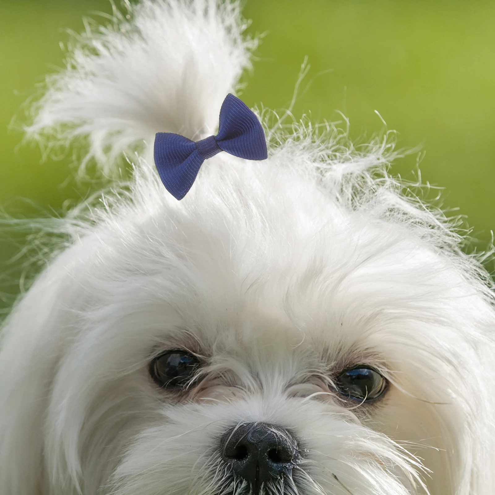 

20 шт. разноцветные резинки, эластичные ленты с бантом, головные уборы для домашних животных, регулируемые для собак, кошек, косичек, хвостиков, волосы лошади