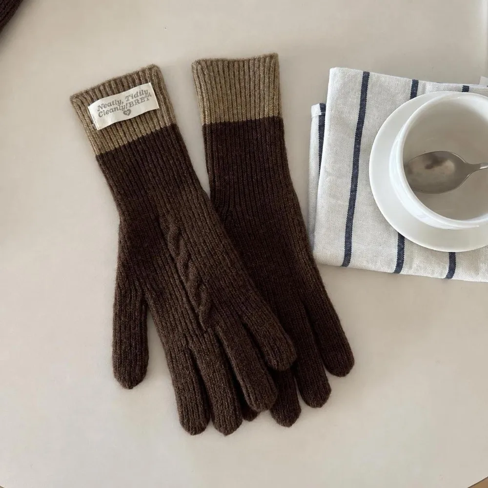 Casual Polyester Cable Knitted Gloves Warm Lining Stretchy Full Finger Gloves One Size Fit Long Cuff Gloves Casual Wear