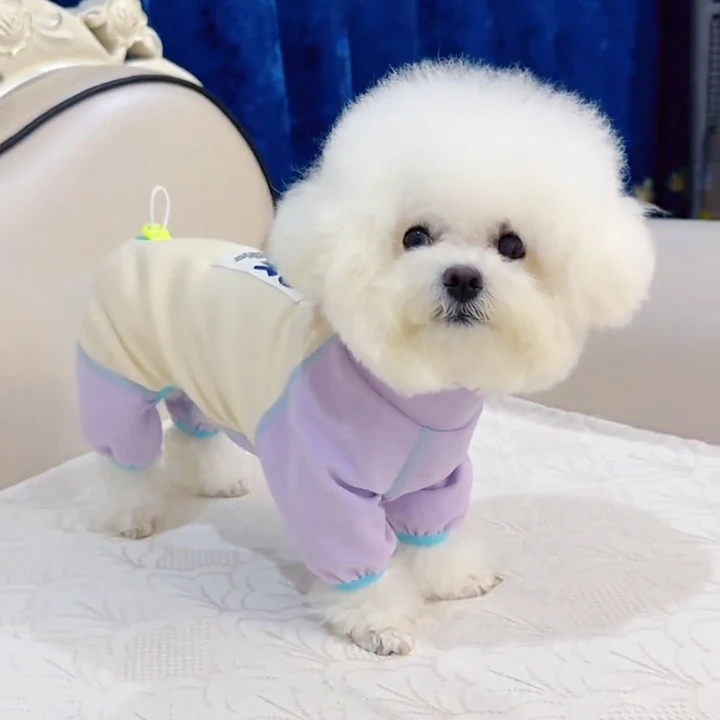 Thin Four-Legged Do…