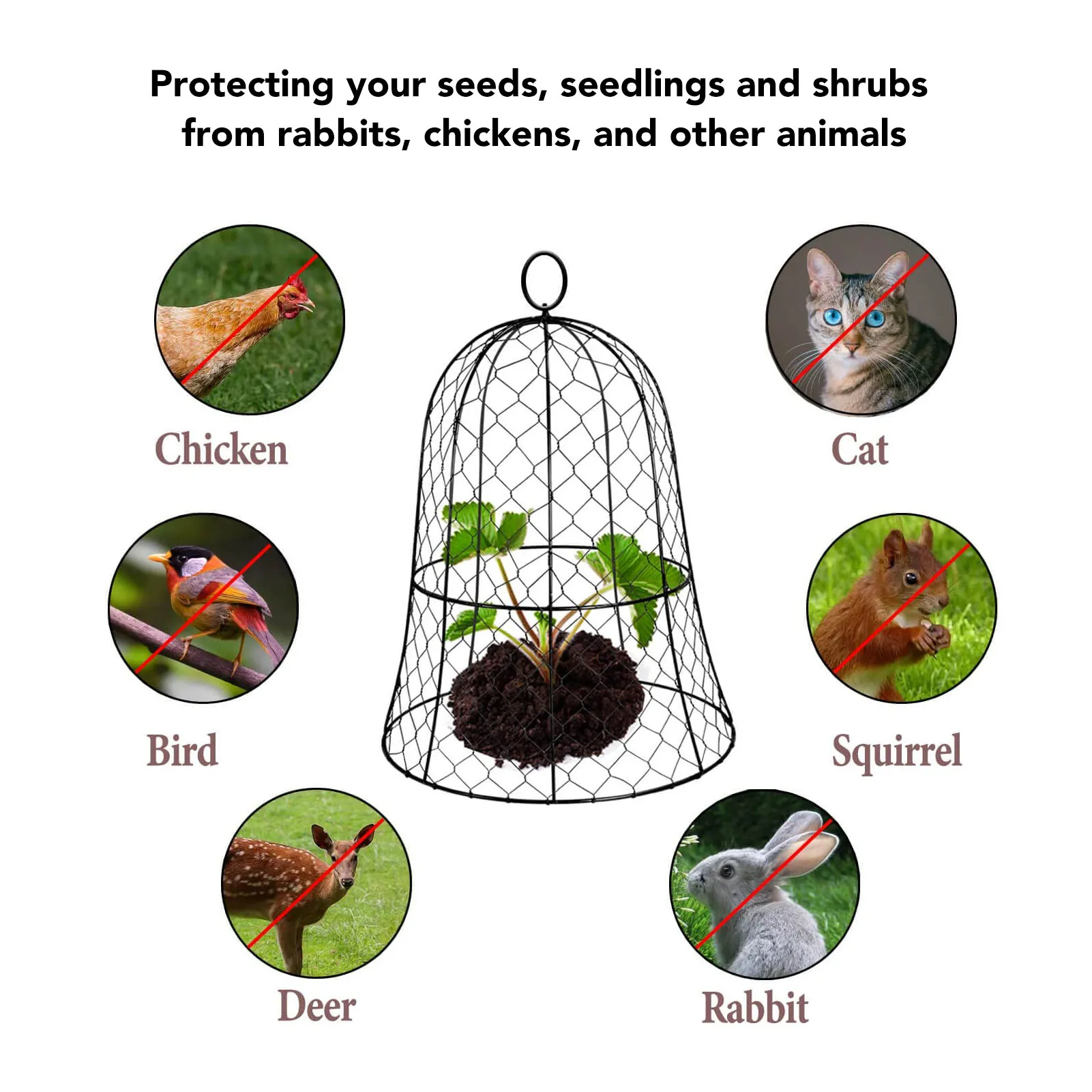 Plant Protector Cloche Cover Garden Chicken Wire Cloche 10 Packs Sturdy Mesh Top Hook Thickened Construction Iron for Farm