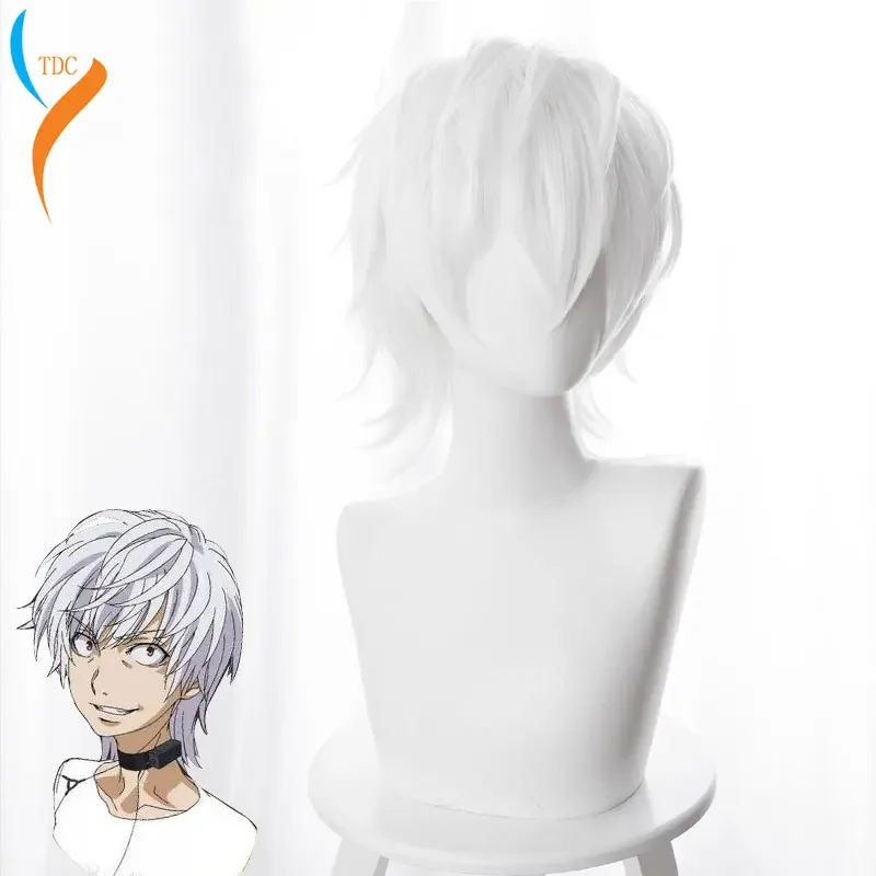 Toaru Majutsu No Index Accelerator Cosplay Wig for Man Boys 30cm Short Straight Anime Wig Heat Resistant Synthetic Hair White