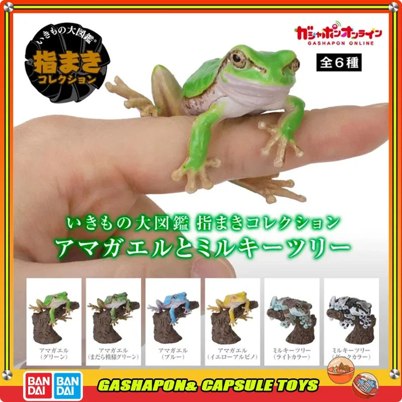 

BANDAI Biological Encyclopedia Action Figures Model Tree Frogs Milk Tree FrogsGashapon Ornament Genuine Collect Ornaments