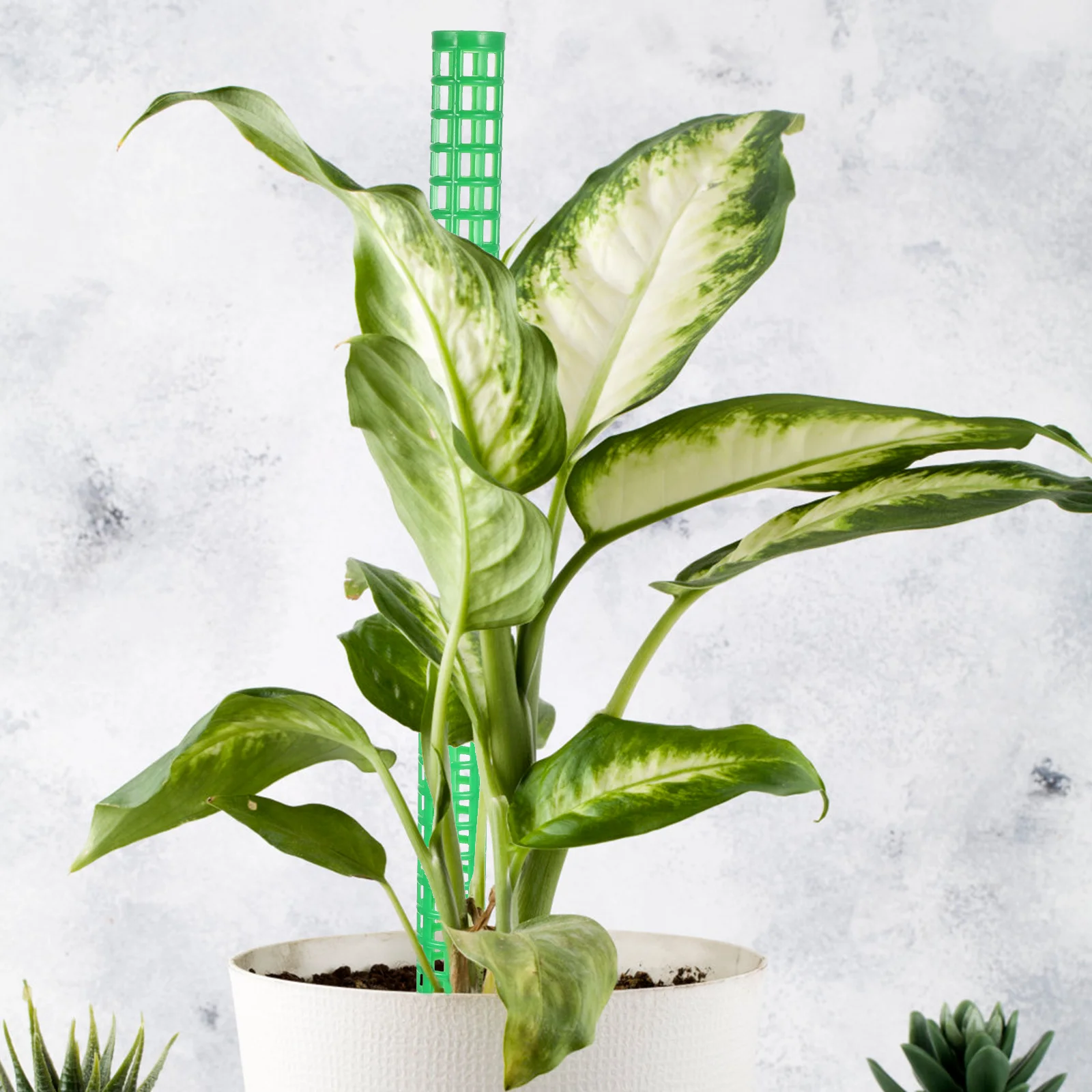 

1Set Moss Pole Plants Support Column Durable Plastic Moss Stakes for Climbing Garden Indoor Flower Pot Trellis