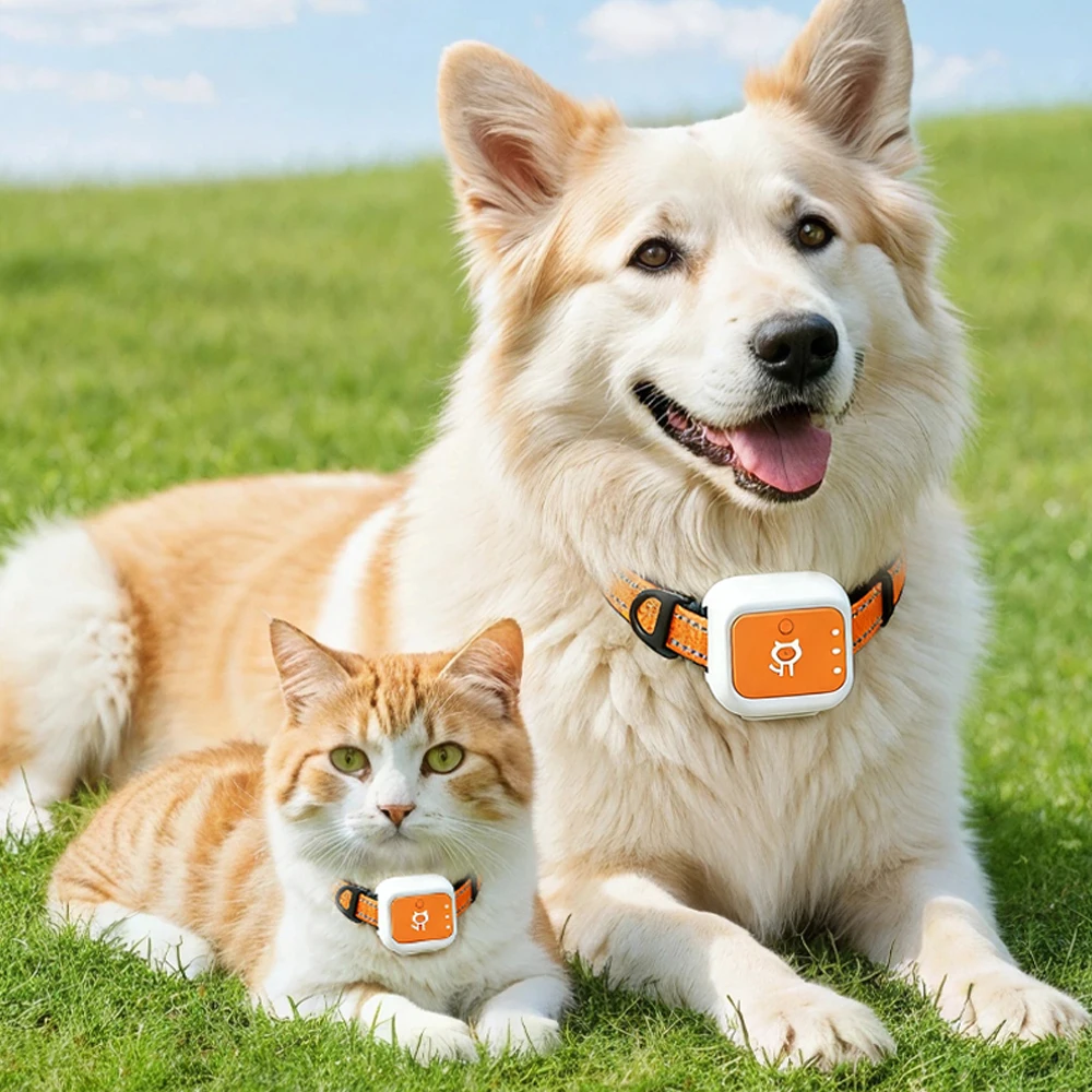 Pet GPS Tracking Device With Historical Route Download Electronic Perimeter Alarm Waterproof Design for Dogs Cats Safety
