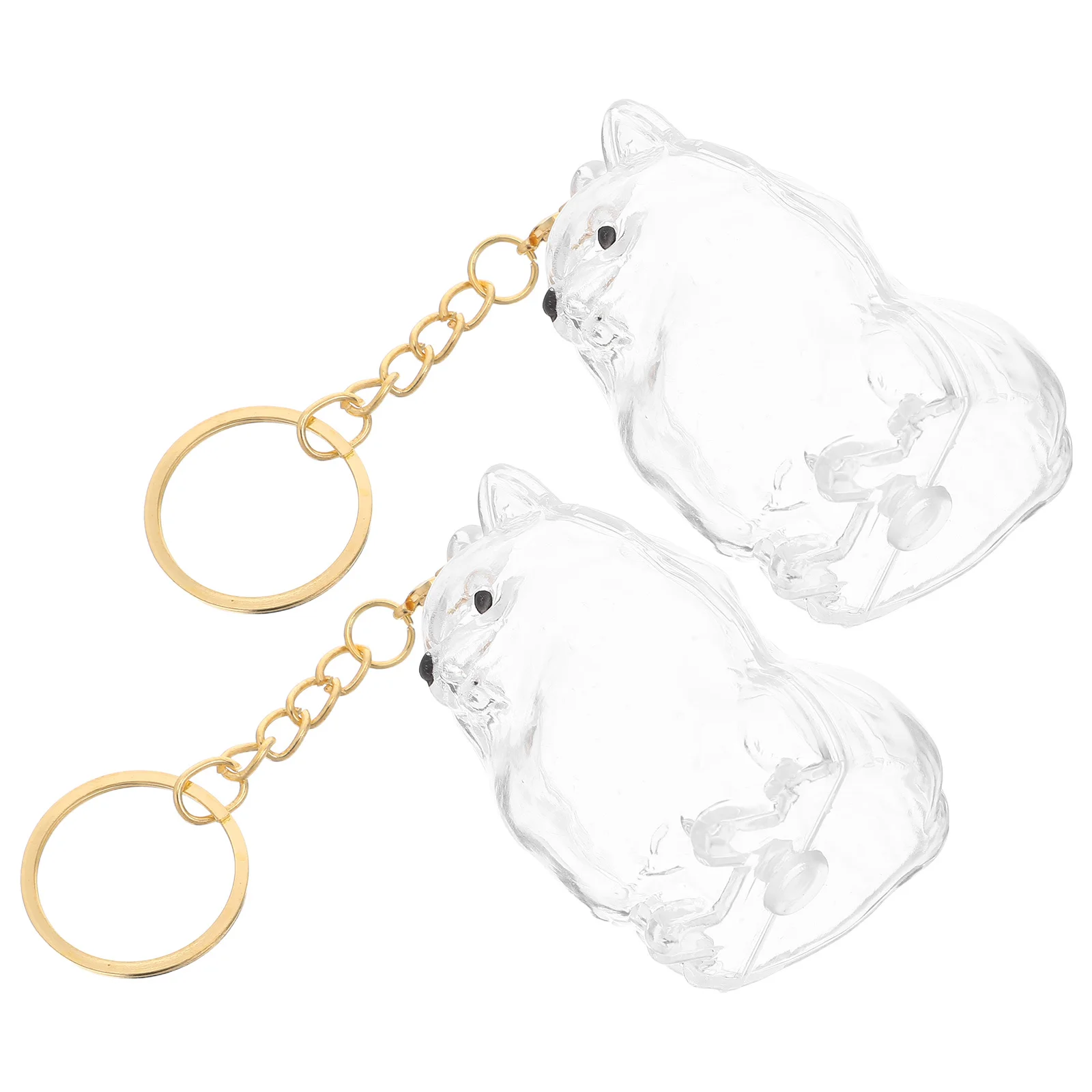 2 قطعة صندوق تذكار شعر الكلب زجاجة بلاستيكية شفافة جرو المفاتيح التذكارية ملحقات الحيوانات الأليفة المنظم التخزين المحمولة