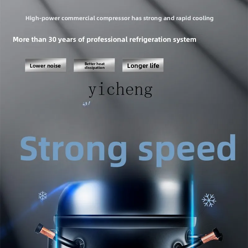 zz Fried Skewers Stall Refrigerated Fresh-Keeping Countertop Freezer Small Display Freezer Commercial Horizontal Freezer