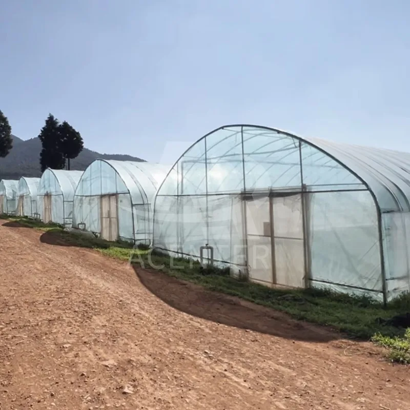

8x30m Large Size Agriculture Greenhouse Frame Eco-Friendly Tunnel Greenhouse Green House Serre Agricole