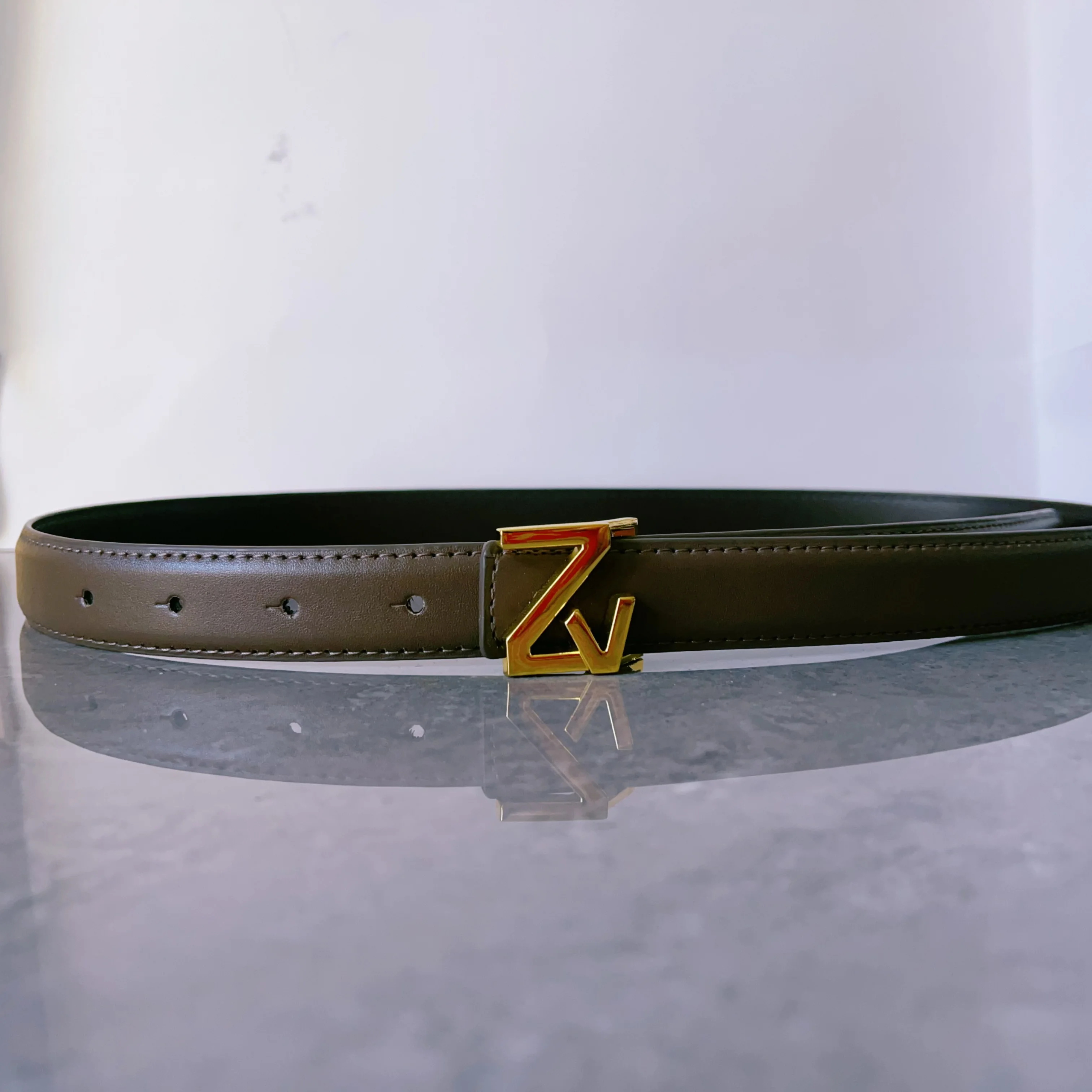 Hochwertiger Gürtel für Damenmode, eine hochwertige Goldschnalle ist perfekt zum Kombinieren mit Kleidern. – Detail 7