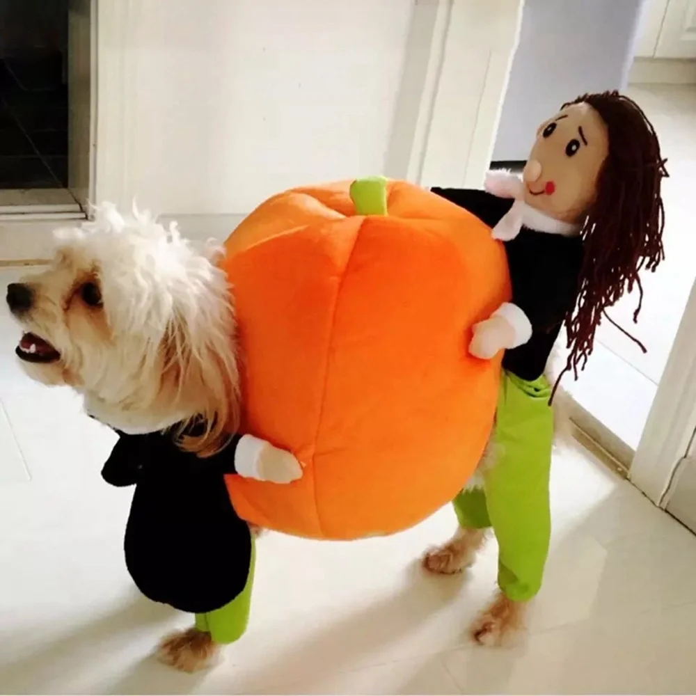 Vêtements de Citrouille d'Halloween pour Chien et Chat, Ensembles de Costumes Cosplay Amusants pour Animaux de Compagnie, Tenues Comiques, Vêtements de ix