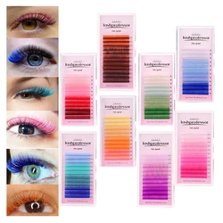 Lashprofessor Colored Eyelashes for Extension Individual Color Lashes C D Curl False Mink Blue Pink Rainbow Eyelashes For Makeup