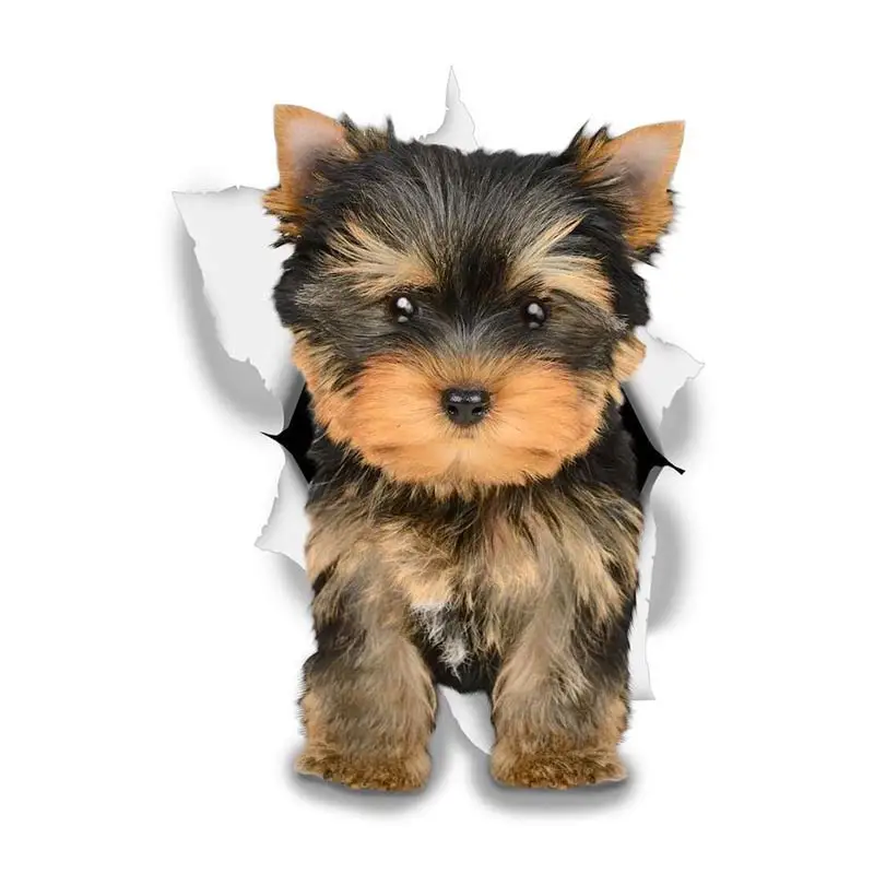 M463 Wurst Hund Rottweiler Hund Yorkshire Terrier Hund PVC Haushalt Dekoration Wand Aufkleber Toilette Aufkleber – Detail 2