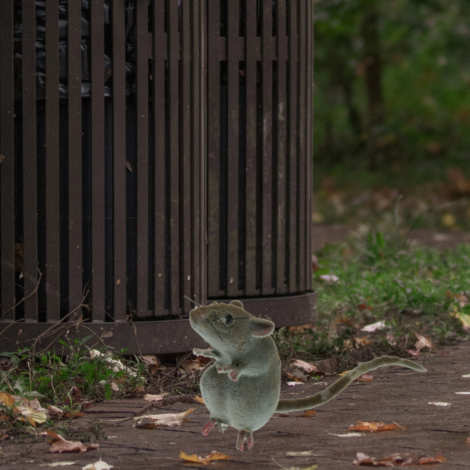 Ratón realista de animales para decoración, juguete de imán para nevera, maceta de flores para jardín al aire libre, 1/2 piezas