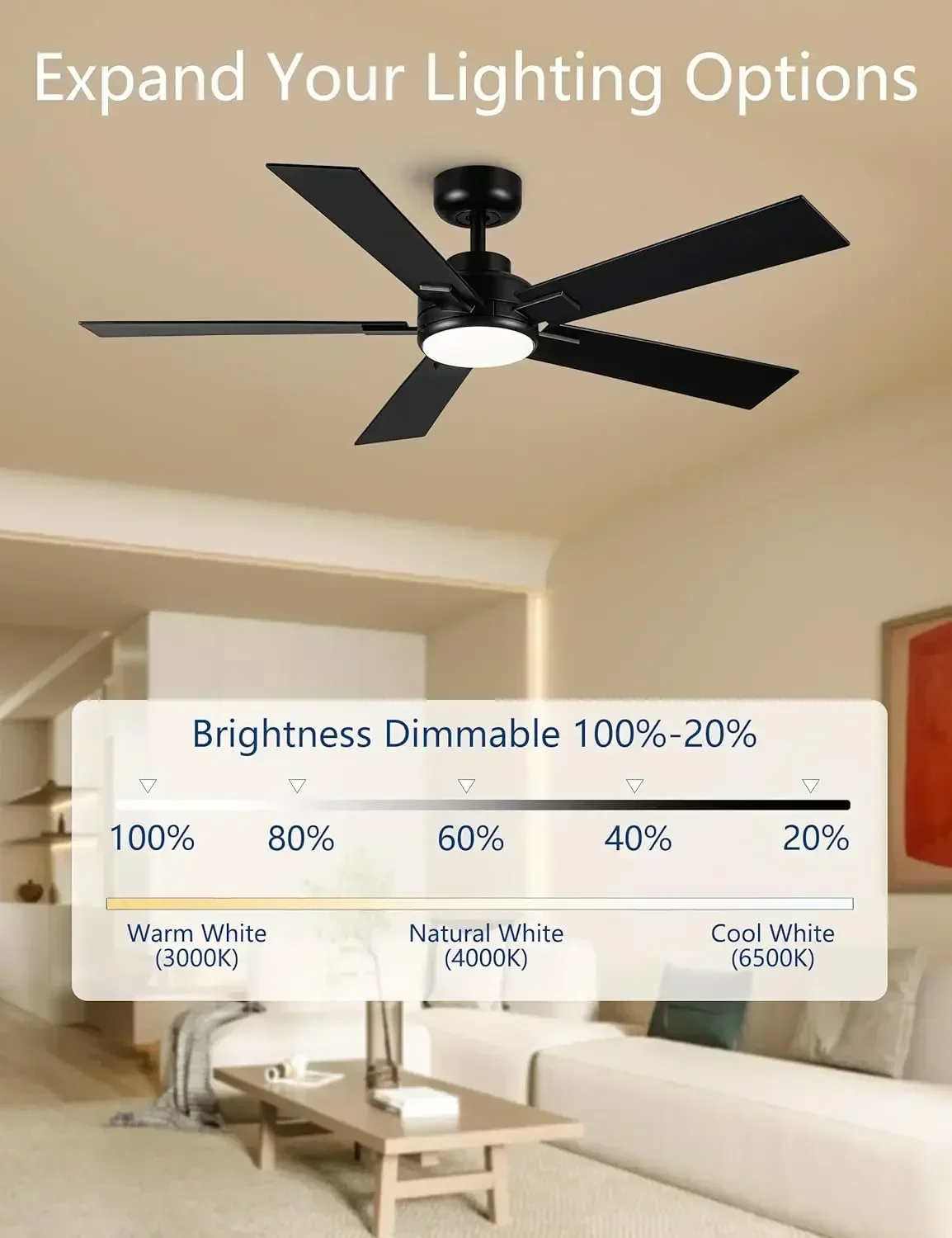 Modern Ceiling Fans with Lights - 52 inch Black Outdoor Ceiling Fan with Light and Remote, Reversible DC Motor, 6-Speed Quiet 3C