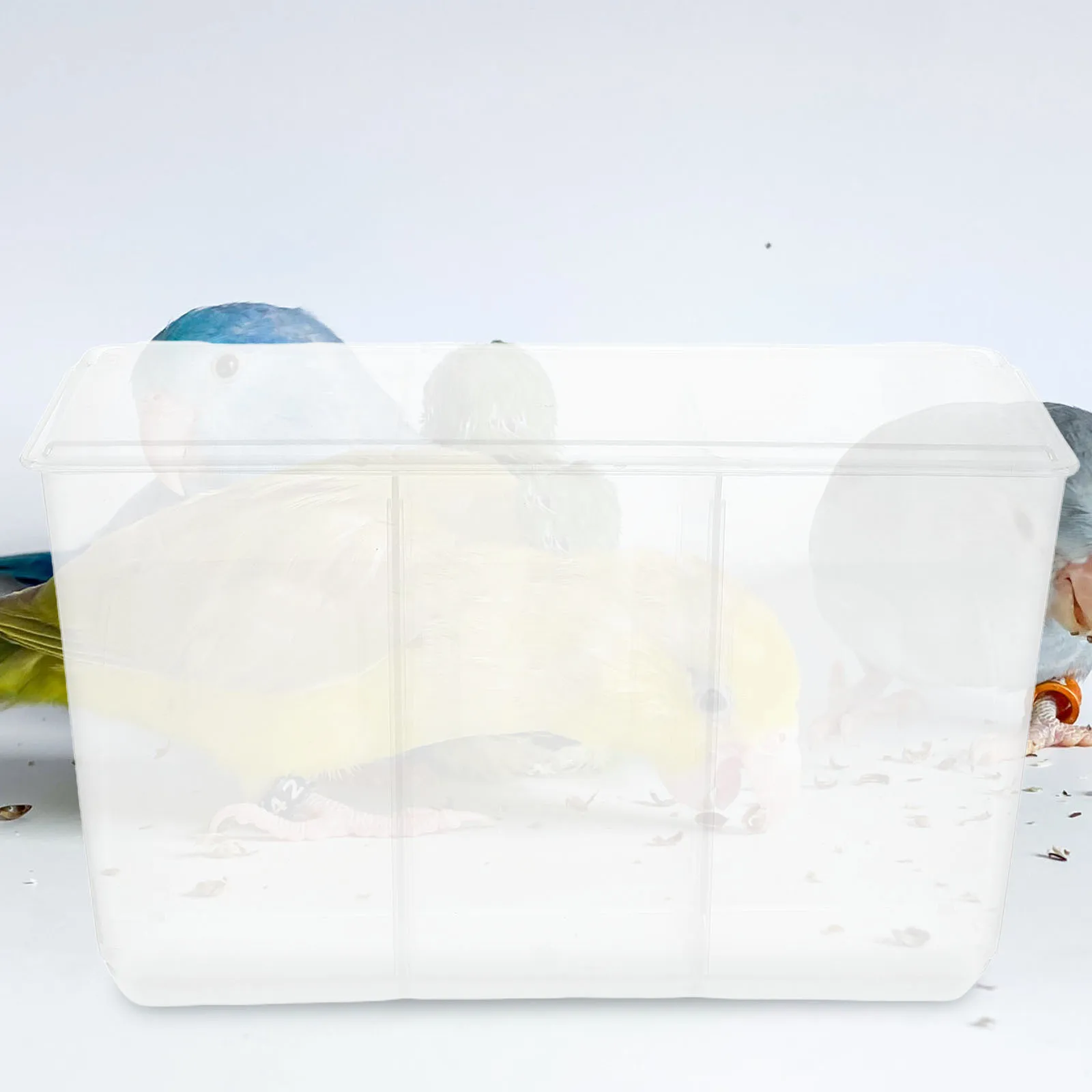 

Bird Cage Food Bowl Clear Sift-Proof Feeder Hanging Sturdy Bowl For Parrot Pigeon Canary Quail Cage Feeding