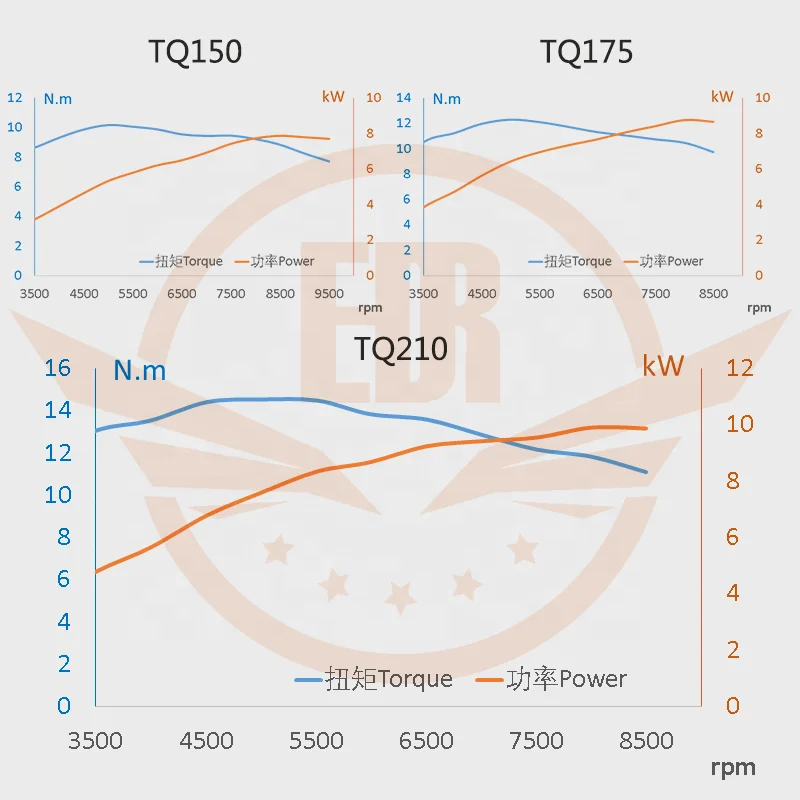 EDR Loncin Motorcycle TQ150/175/210 Engine Single-cylinder Four-stroke Air-cooled Electric/kick Starting Engine Assembly