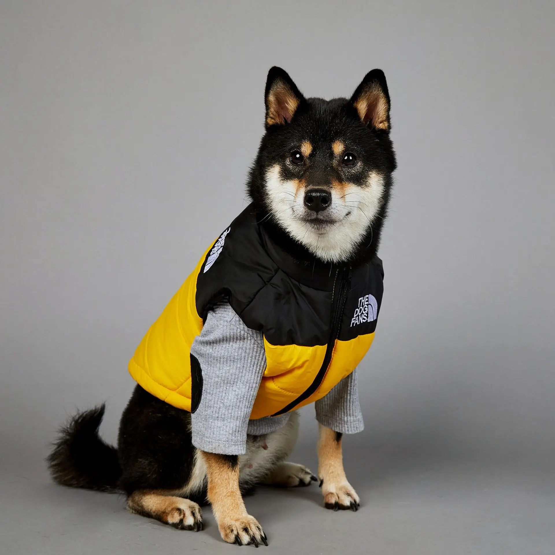 Chubasquero cálido para perros grandes, ropa de algodón para mascotas, a prueba de viento y lluvia, Invierno