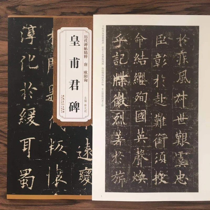 Wang Xizhi Running Script Calligraphy Copybook Small Regular Script Copy Book Rubbing Inscription Past Dynasty Collection Book