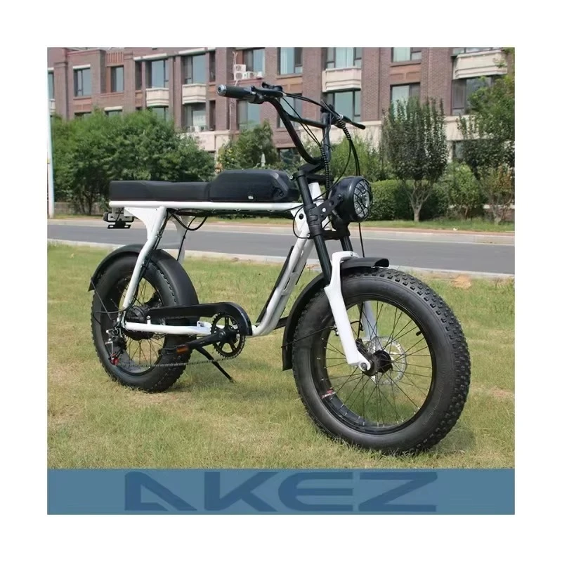 Good Quality 7 Speed 20*4 Inch LCD Display 350W/500W/1500W 48V Electric Mountain Bike