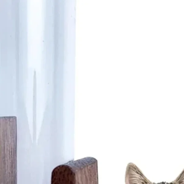 مزهرية شعيرات القطط مزهرية شعيرات الحيوانات الأليفة مغناطيس الثلاجة خشبية وزجاج الحيوانات الأليفة الشعر اللحية جامع الحيوانات الأليفة هدية تذكارية ديكور المنزل #1