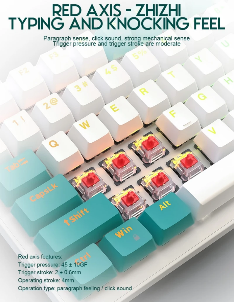 Mechanical Keyboard Hot Swap 100 Keys 98% Layout Spanish Russian Korean Arabic Mechanical Keyboard Wired Type C RGB Numpad K3