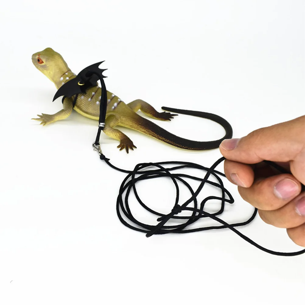 

2Pcs Reptile Leash Wing Harness Rope Adjustable Outdoor Lizard Small Animal Lead Size M Black S Blue Reptile Leash