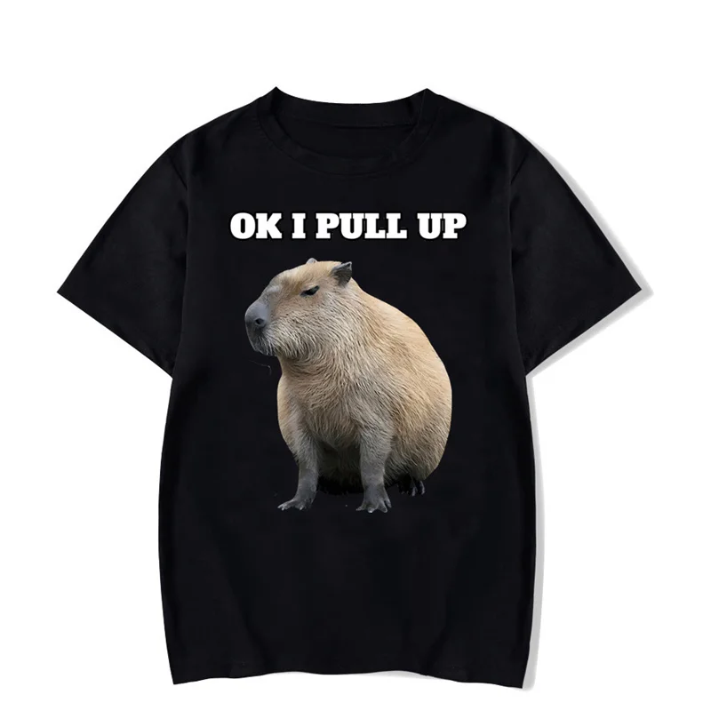 Hip Hop Streetwear pamuk komik erkekler için grafik  Tamam ben Capybaras Capybara baskı erkek boy T Shirt  men clothing