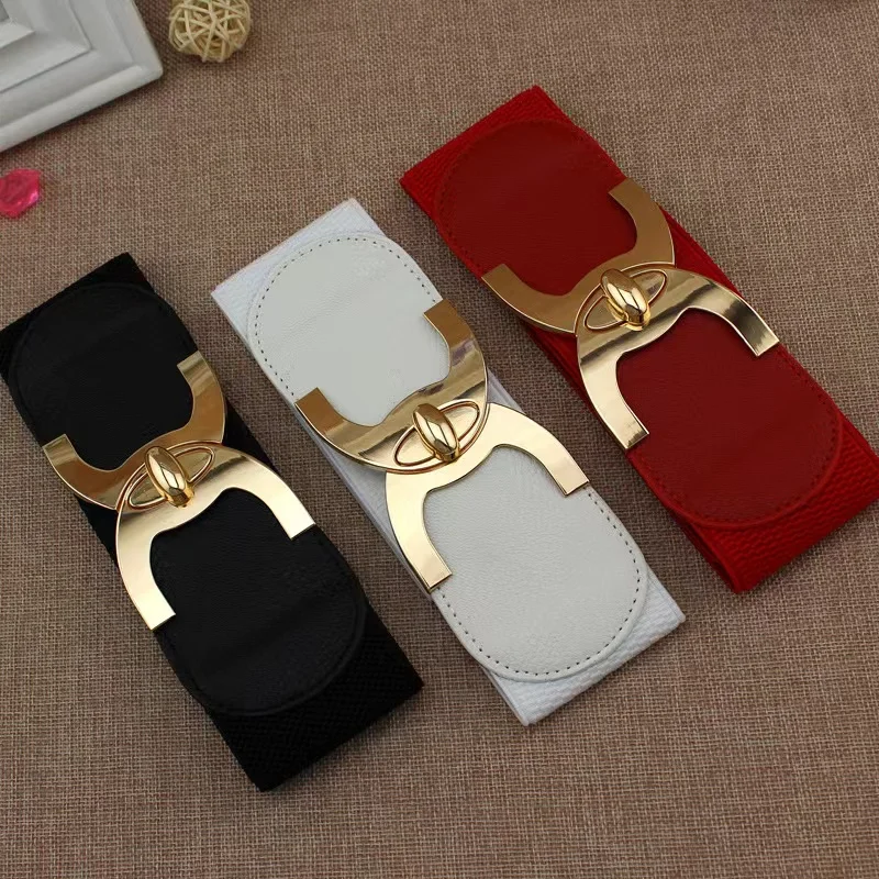 ZARA NWT Double Buckle Sash Belt Womens Belts Double Buckle Belt Zara Zara Accessories Nwt  main image 3