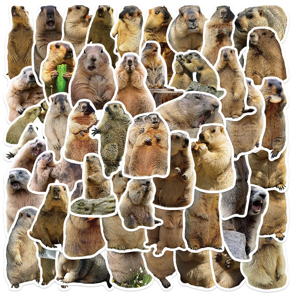 

10/30/50pcs Funny Animal Groundhog Stickers Cute Decoration Sticker Suitcase Phone Case Water Bottle Graffiti Kid DIY Decals Toy