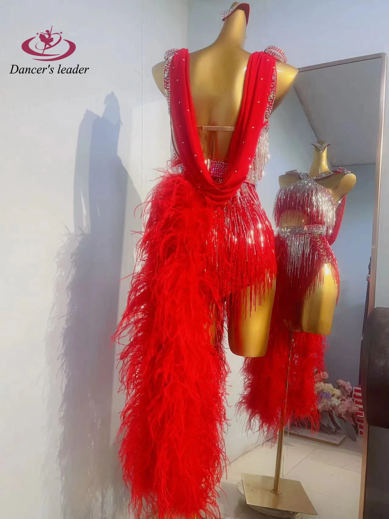 

Latin Dance Competition Women's High-end Custom Silver Tassel Fluff Tail Samba Art Performance Rhinestone Dress