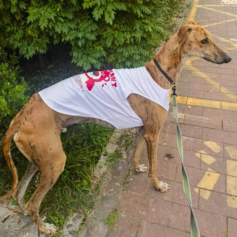 

Summer Cooling Vest for Whipbit Dog Sleeveless Clothes Elastic Soft Coat for Bedlington Greyhound Summer Pajamas