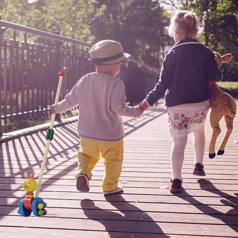 Wooden Baby Walker Wooden Push And Pull Walking Toy Kid Learn Walking Waddling Animal Push Along Toy