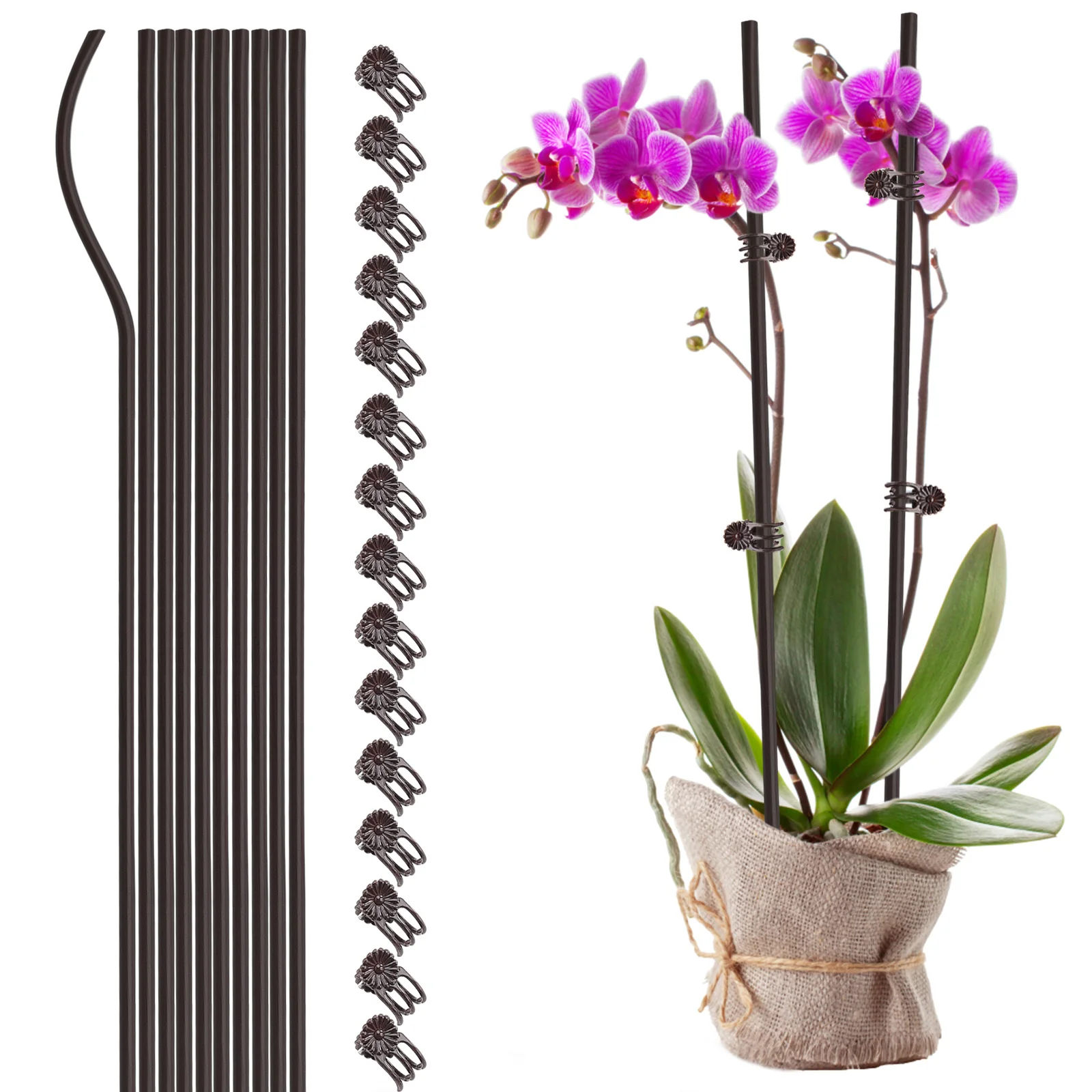 

Plant Support Garden Flower Stakes Plastic Coated Metal Steel Qualitative Wire Bendable Planting Climbing Durable Stents