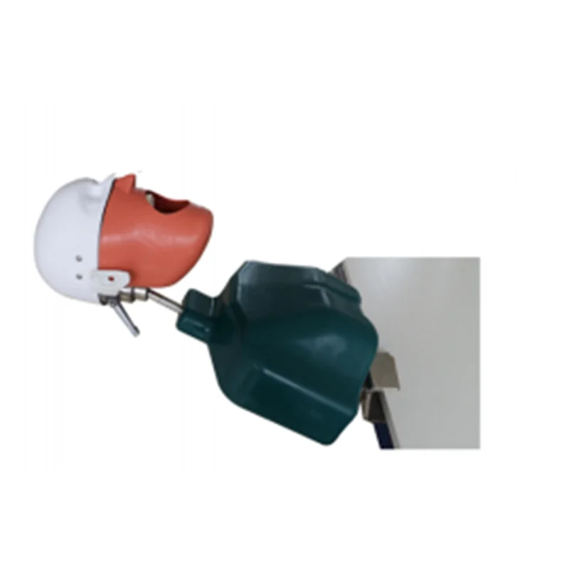 High Quality Dental Phantom Head Model for Training Dental Simulation Manikin Turbine Essential for Dental School Labs