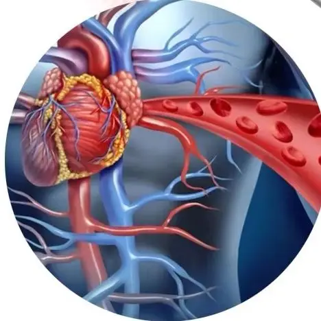 

HLKGO Body Pain Laser Therapy Device 6x808nm 19*650nm LLLT Physiotherapy Equipment for Knee Pain Relief Arthritis Frozen shoulde