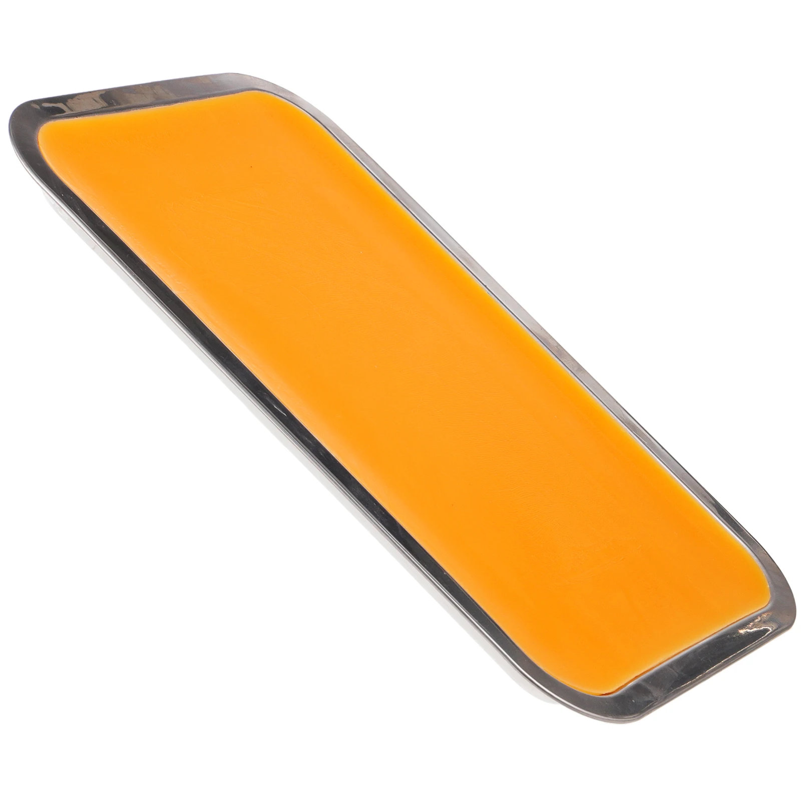 

1 set 1 Set Stainless Steel Wax Dissection Tray Wax-Lined Bottom For Teaching Dissecting Students Metal Tray Tool