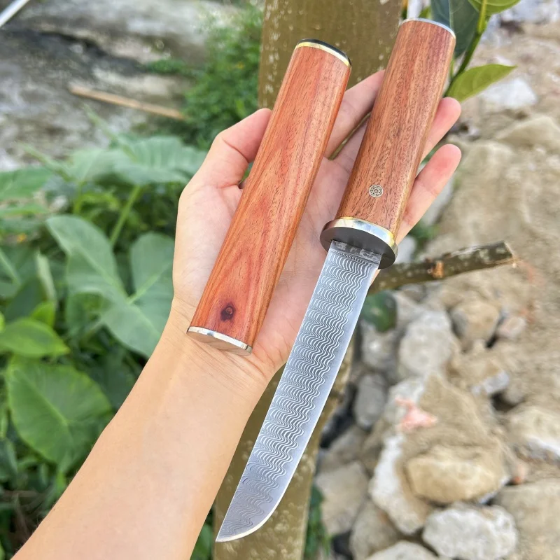 

Damascus Steel Outdoor Small Straight Knife High Hardness Sharp Field Camping Survival Multi functional Fruit Knife Gift Box
