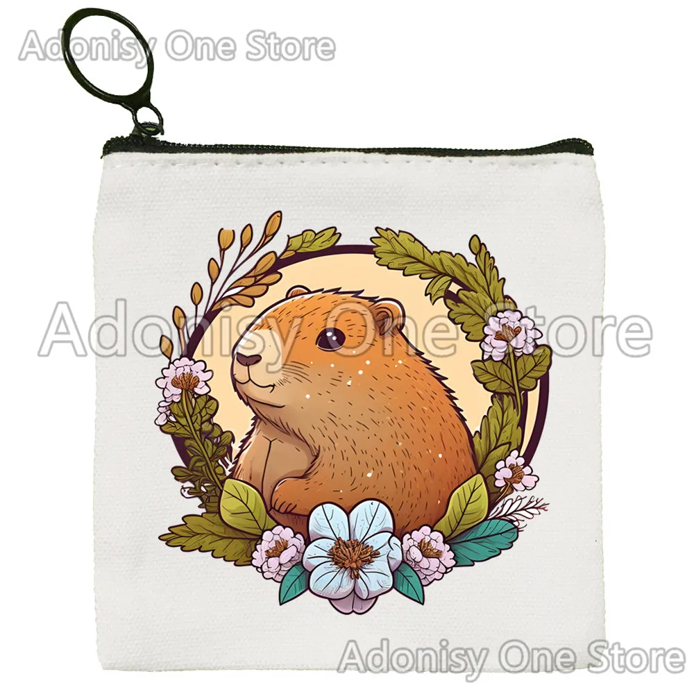 Capybara Version einfache Geldbörse Studentin Leinwand niedlichen Schlüssel tasche Mini Clutch kleine Geldbörse