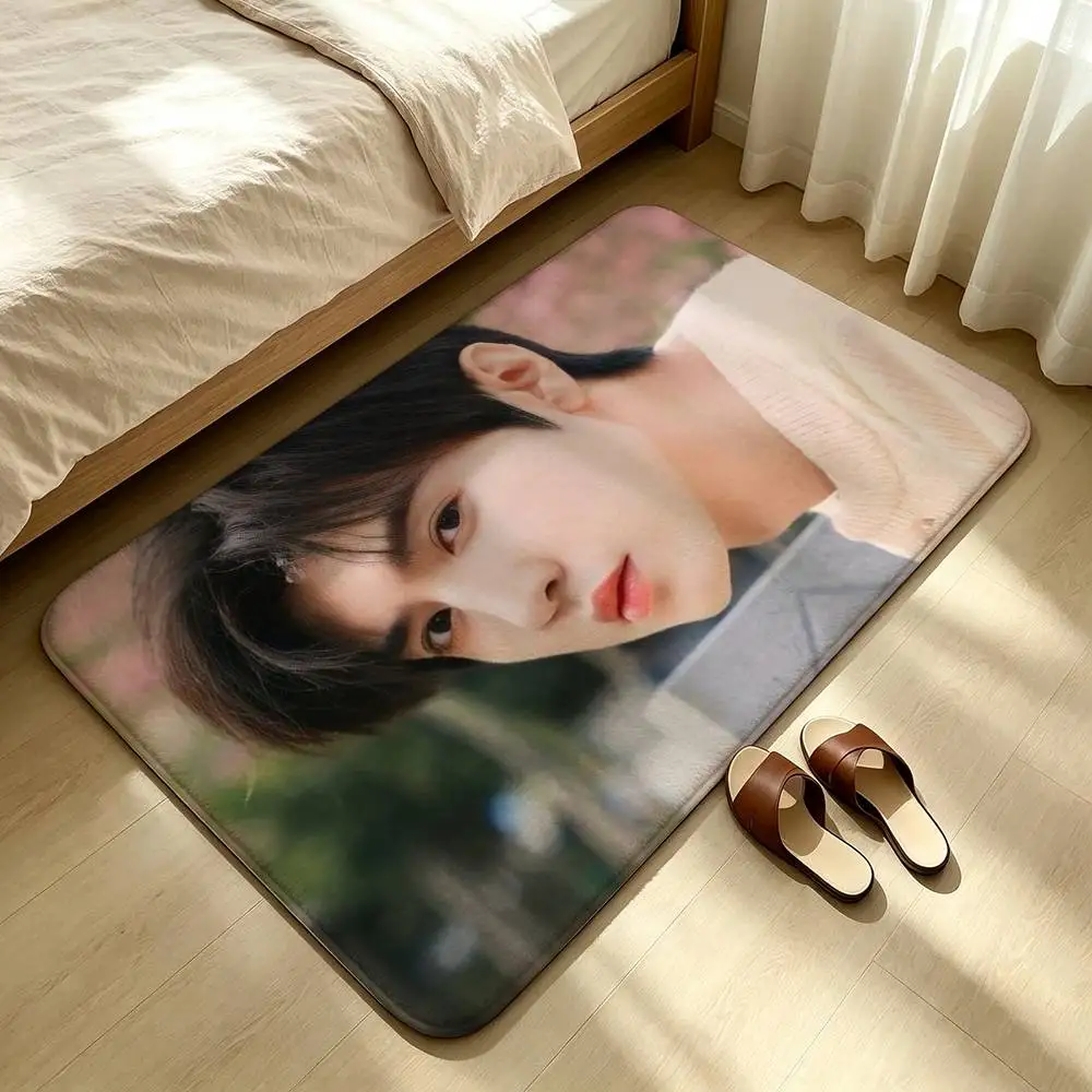 Chen Zheyuan Duan Jiaxu Shower Room Absorbent Small Floor Mat Soft Comfortable Decorative Foot Mat