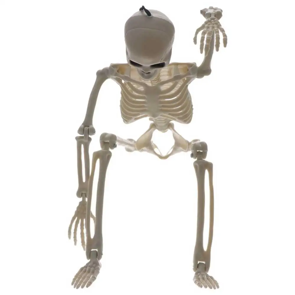 Decoration Skeleton Art Sketch Flexible Learn Aid Human Skeleton Model Car Decoration People Active Model Anatomy Skeleton