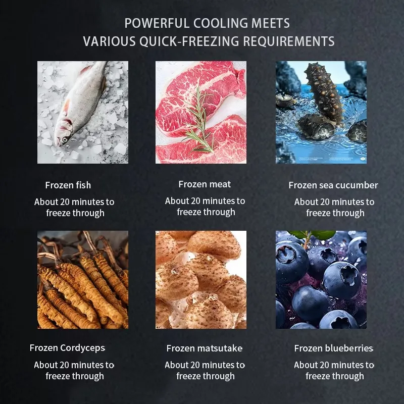 SUS304 Stainless Steel 20min Blast Freezer -45~-60℃ Liquid Freezing Machine for Seafood Meat Processing