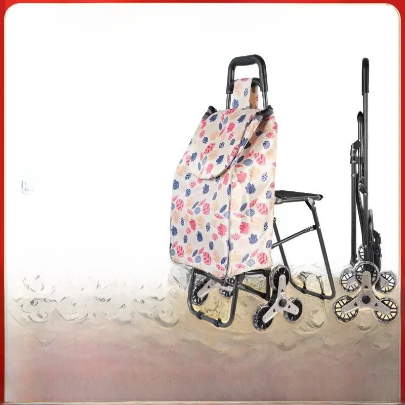 carrello-della-spesa-portatile-con-robusto-manico-per-il-trasporto-di-verdure-ideale-per-anziani-in-ferro-pieghevole