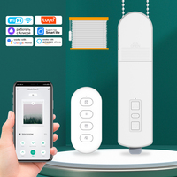 Tuya WiFi Smart DIY Motorized Chain Electric Roller Blinds Curtain Motor Shade Shutter Drive With Remote Alexa Google Assistant