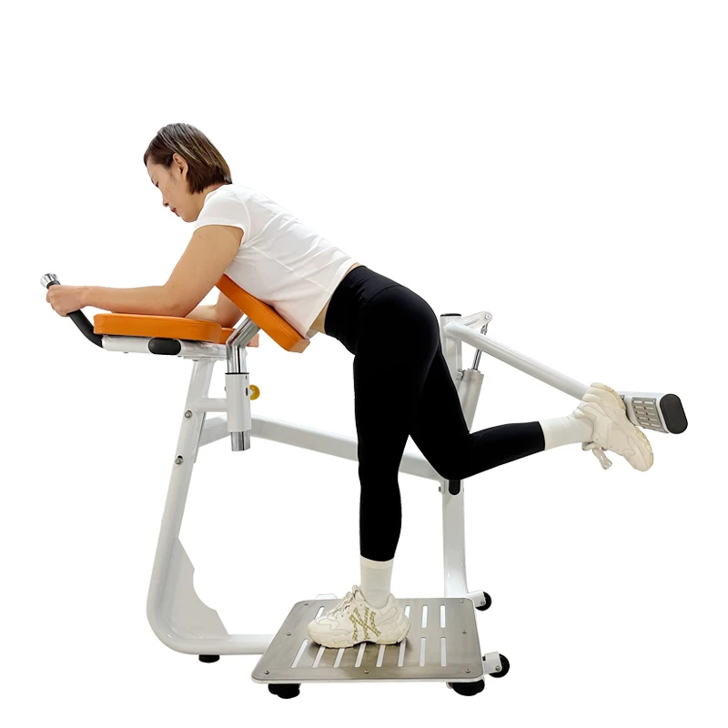 

Indoor Unisex Steel Fitness Leg Lift Trainer Strength Training Equipment for Middle-Aged & Elderly Rehabilitation